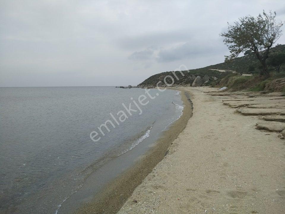 Balıkesir Avşada Denize Yakın Yola Cepheli 200m2 Arazi - Görsel 25