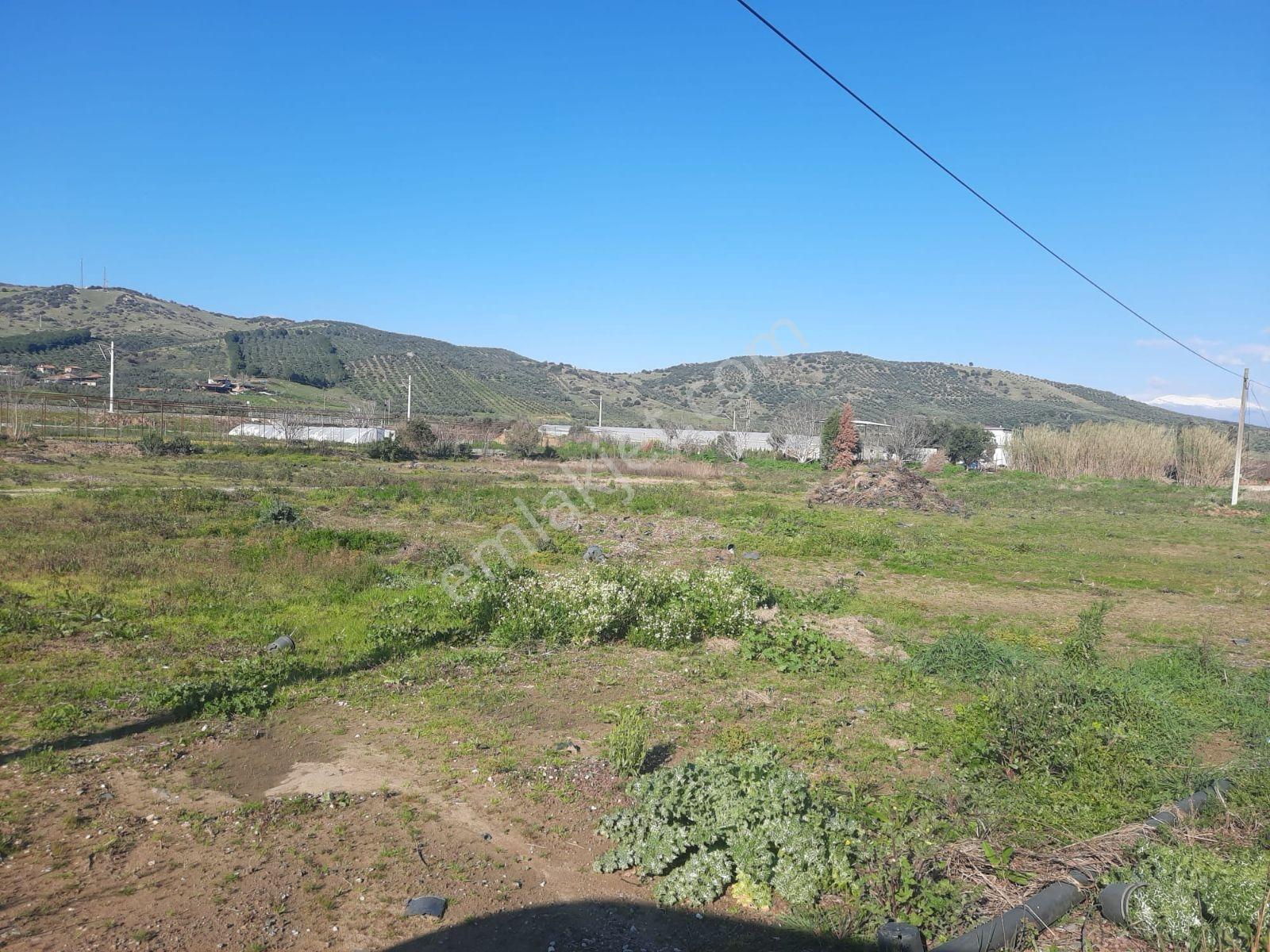 İzmir Tire Ödemiş Duble Yoluna Cepheli Arazi - Görsel 12