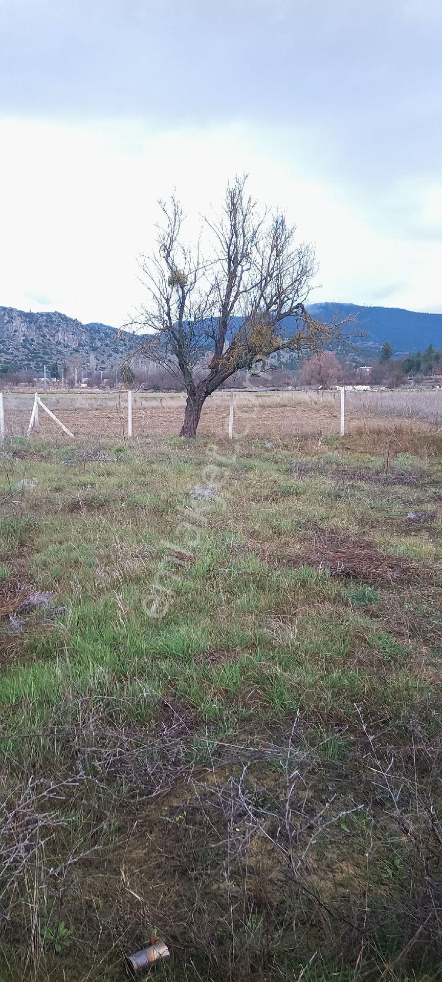 Burdur Ağlasun Hisarköy'de Satılık Konteynerli Hobi Bahçe - Görsel 6