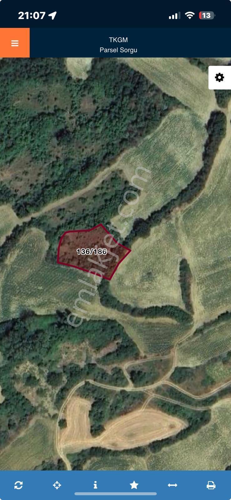 Tekirdağ Semetli Mah.köye Yakın Tarla 1410 M2 Tarla , - Görsel 2