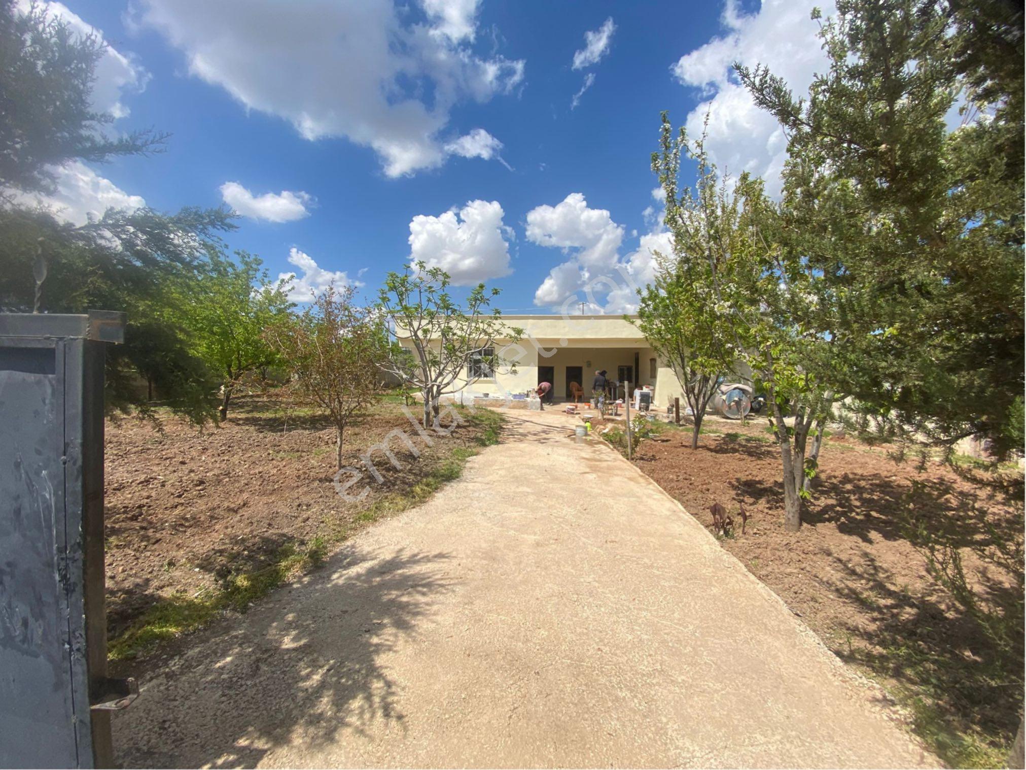 Barandan Aşağı İçkarada Satılık Bağ Evi - Görsel 27