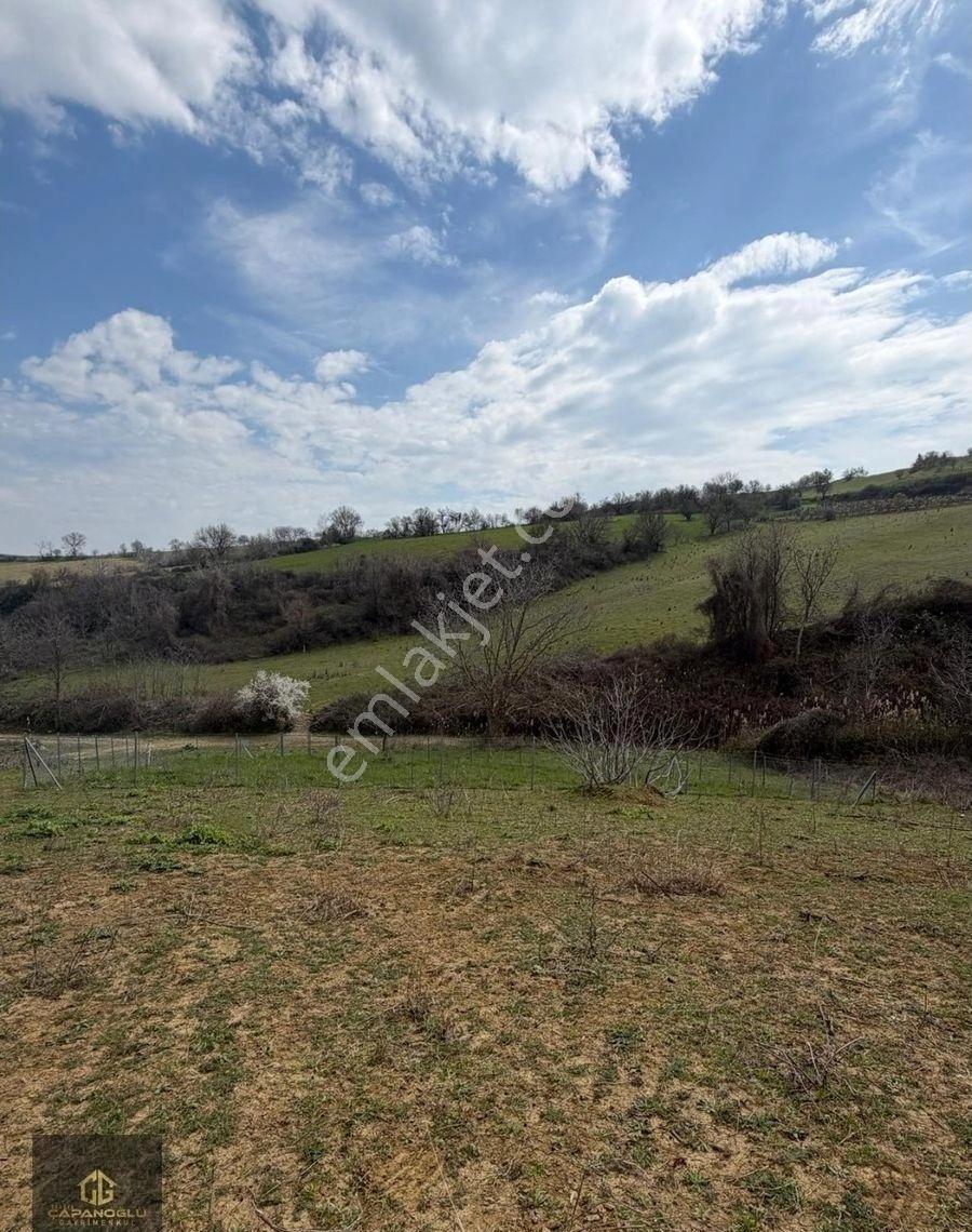Tekirdağ Süleymanpaşa🌿 Doğa İçinde, Gelişen Bölgede 400 M² Satılık Arsa – Topağaç - Görsel 5