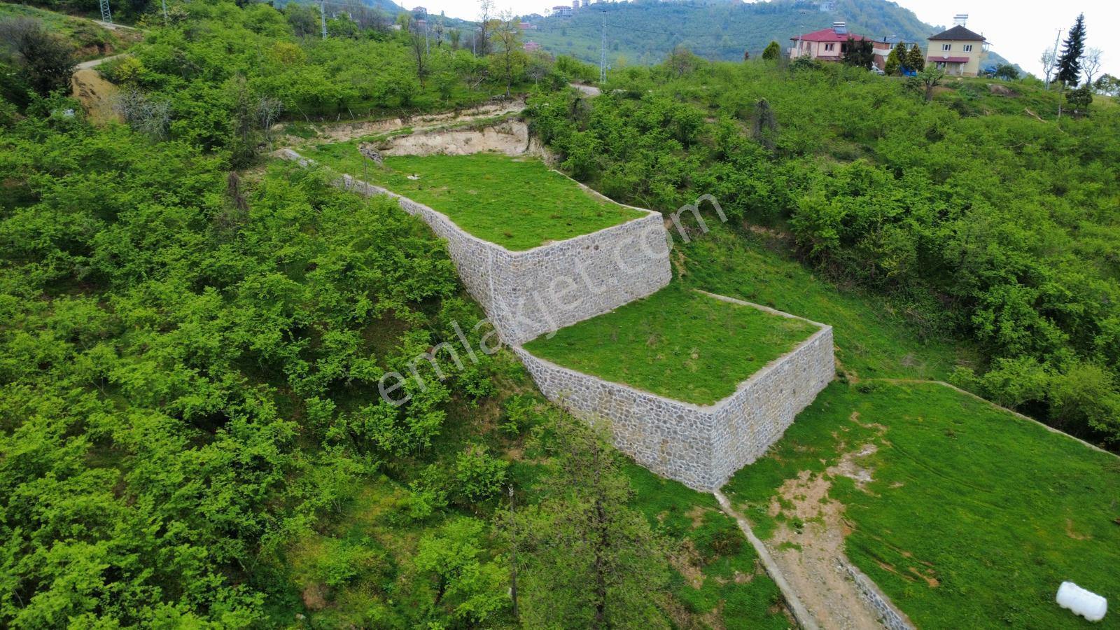 Trabzon Yomra'da Satılık Projesi Onaylı Villalık Arsa - Görsel 8