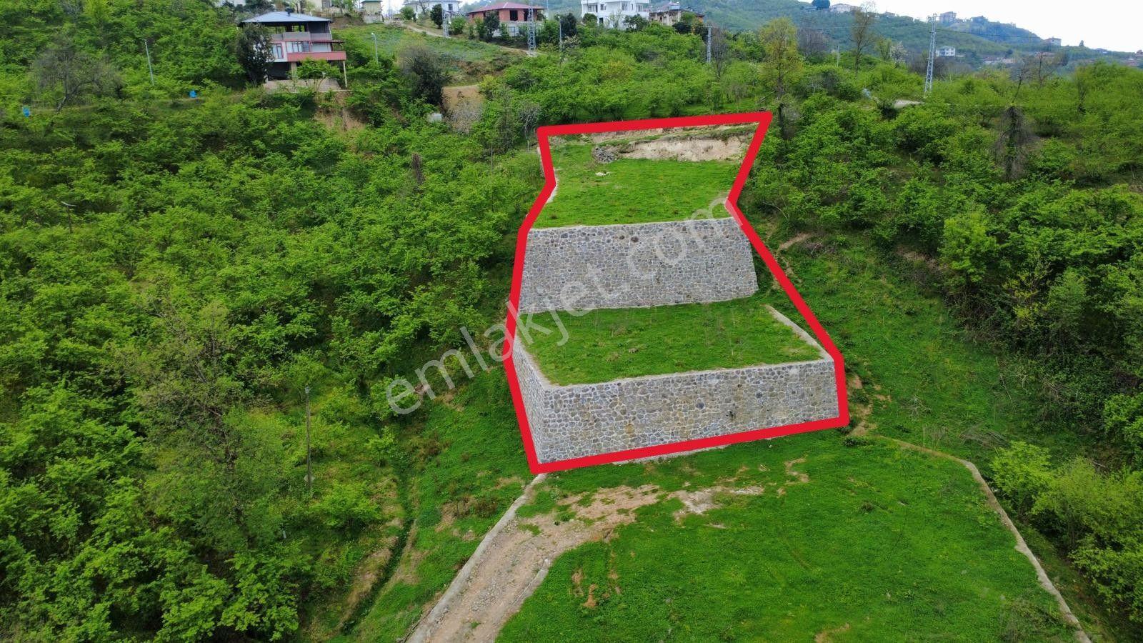 Trabzon Yomra'da Satılık Projesi Onaylı Villalık Arsa - Görsel 3