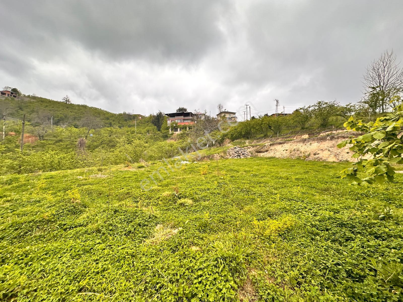 Trabzon Yomra'da Satılık Projesi Onaylı Villalık Arsa - Görsel 21