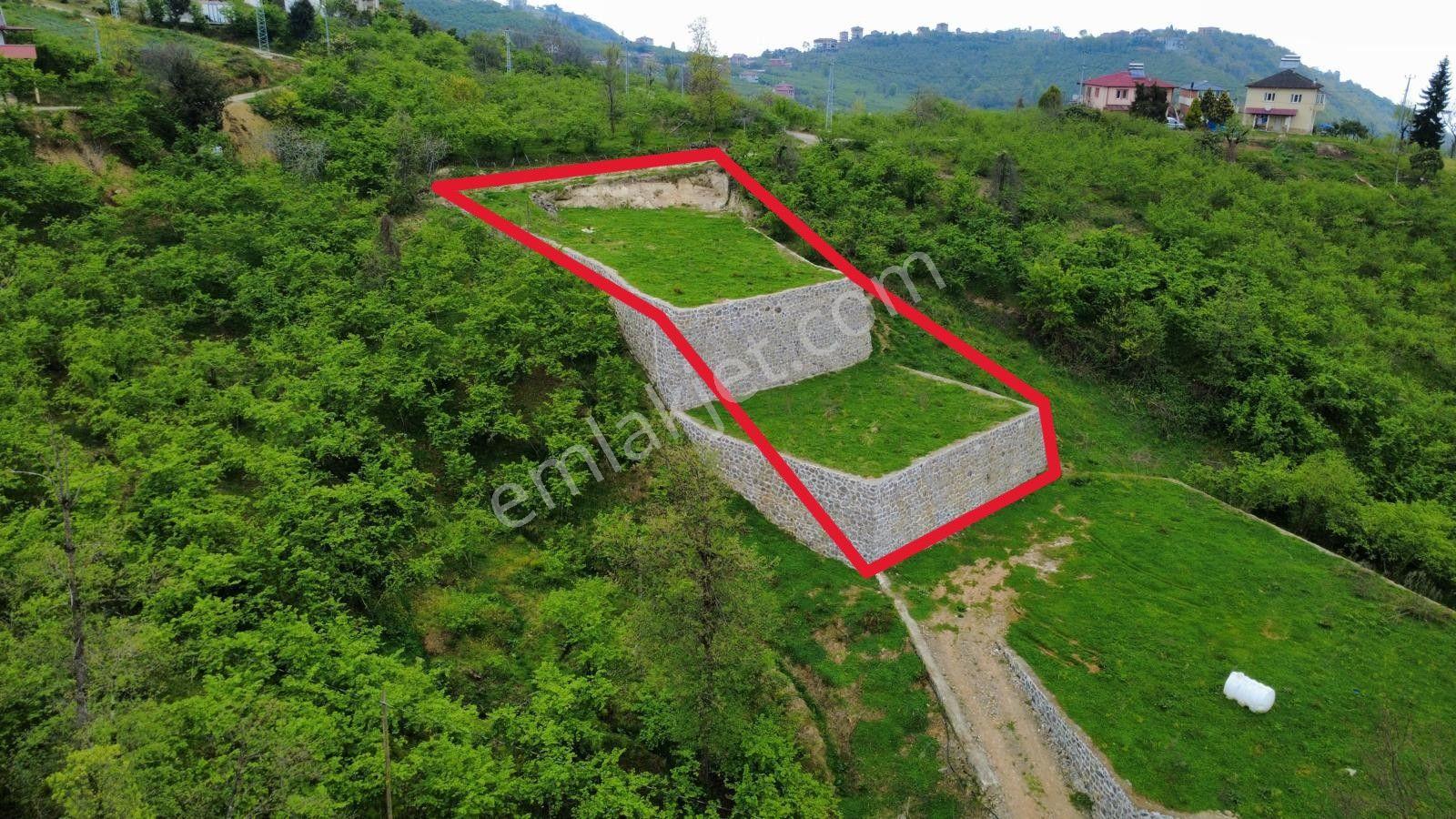 Trabzon Yomra'da Satılık Projesi Onaylı Villalık Arsa - Görsel 12