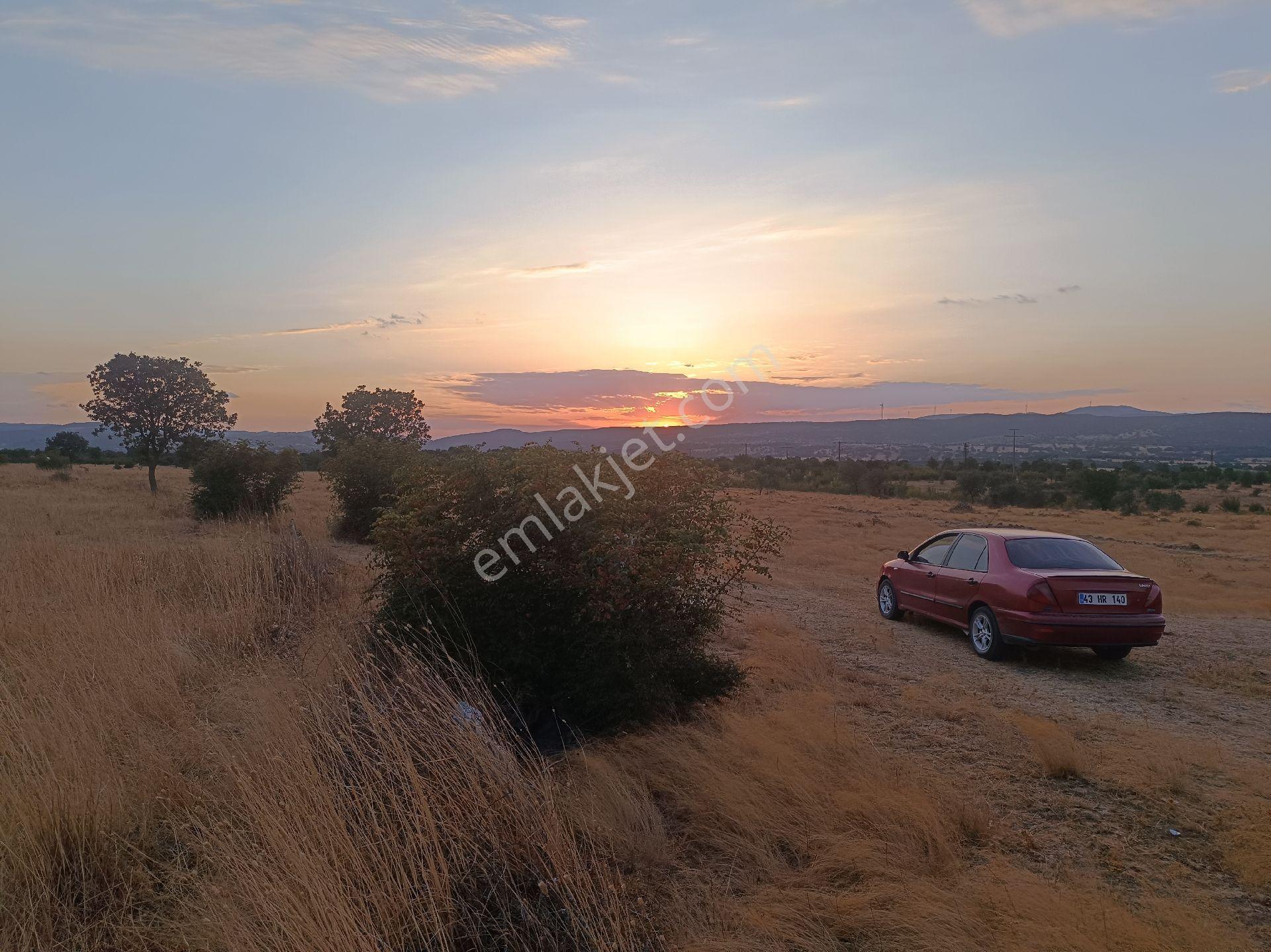 Tarım Ve Hayvancılık, Bağ Bahçe, - Görsel 16