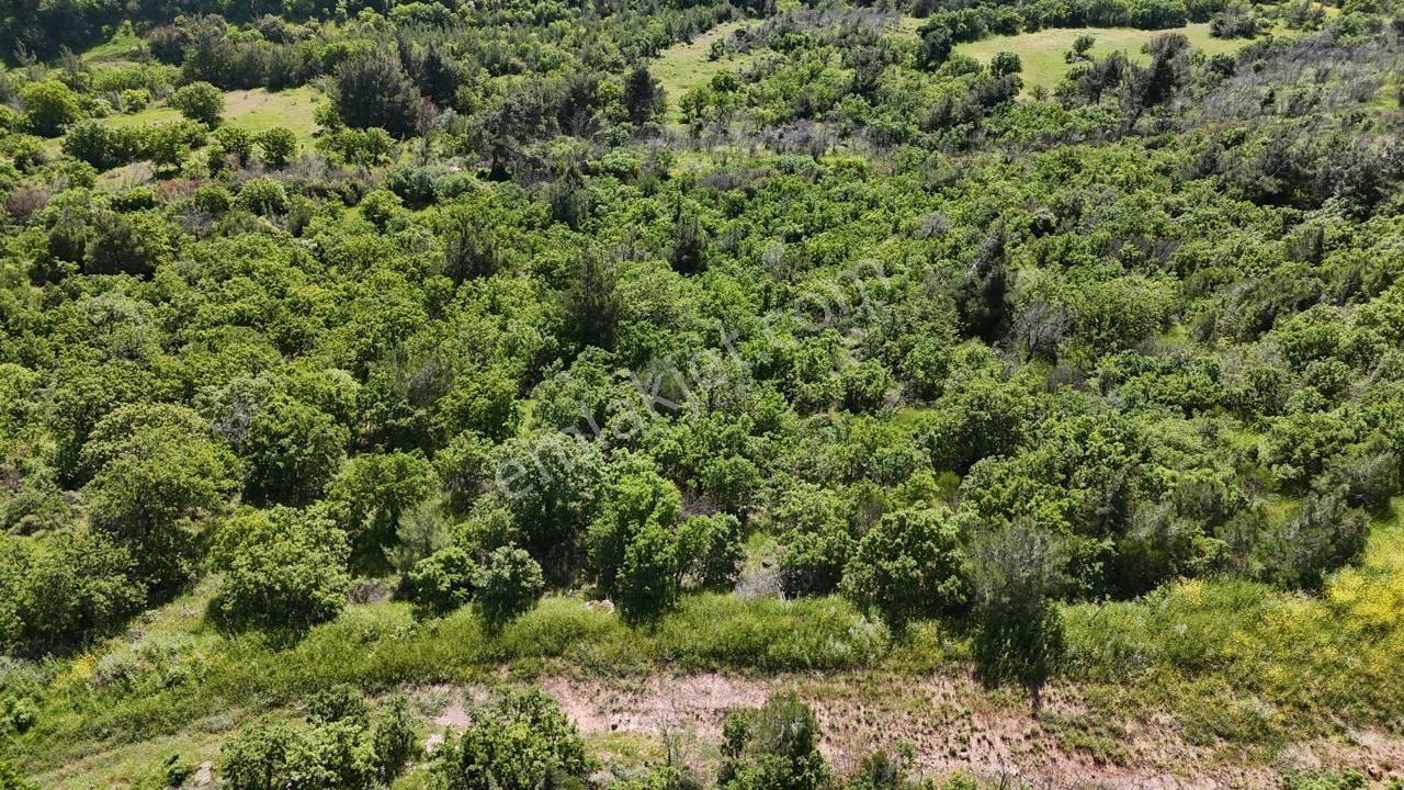 Bergama Sarıcalar Köyünde 9.267 Metrekare Satılık Tarla - Görsel 5