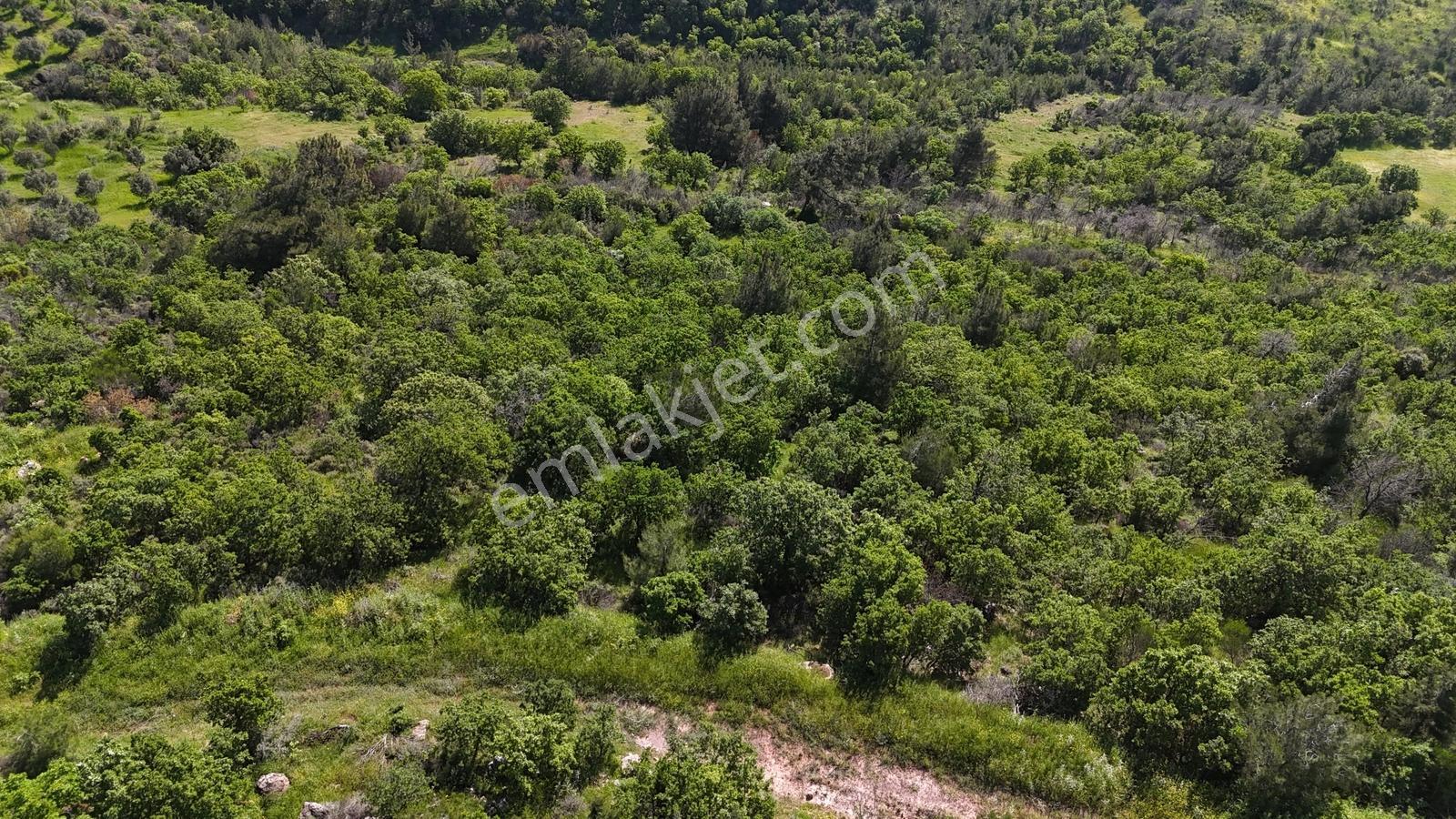 Bergama Sarıcalar Köyünde 9.267 Metrekare Satılık Tarla