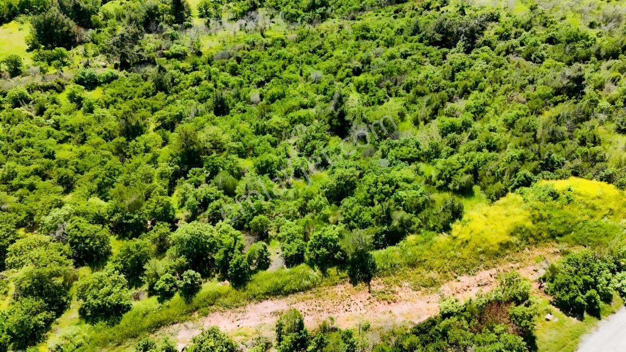 Bergama Sarıcalar Köyünde 9.267 Metrekare Satılık Tarla - Görsel 22