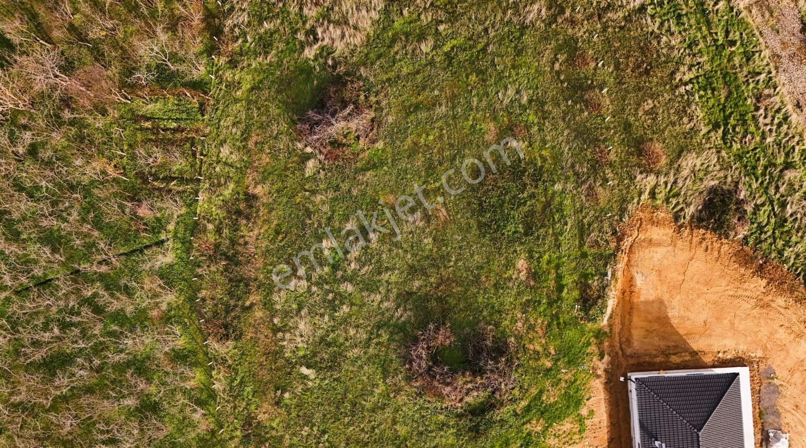 Sakarya Kocaali De 796 M2 Havadar Doğa Manzaralı Arsa - Görsel 12