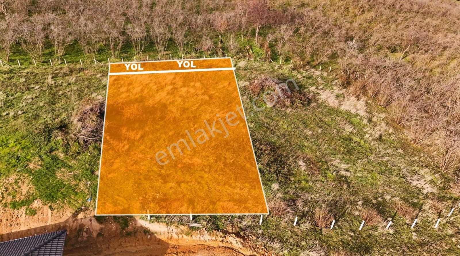 Sakarya Kocaali De 796 M2 Havadar Doğa Manzaralı Arsa - Görsel 6