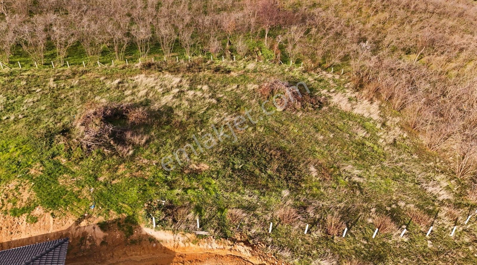 Sakarya Kocaali De 796 M2 Havadar Doğa Manzaralı Arsa - Görsel 15