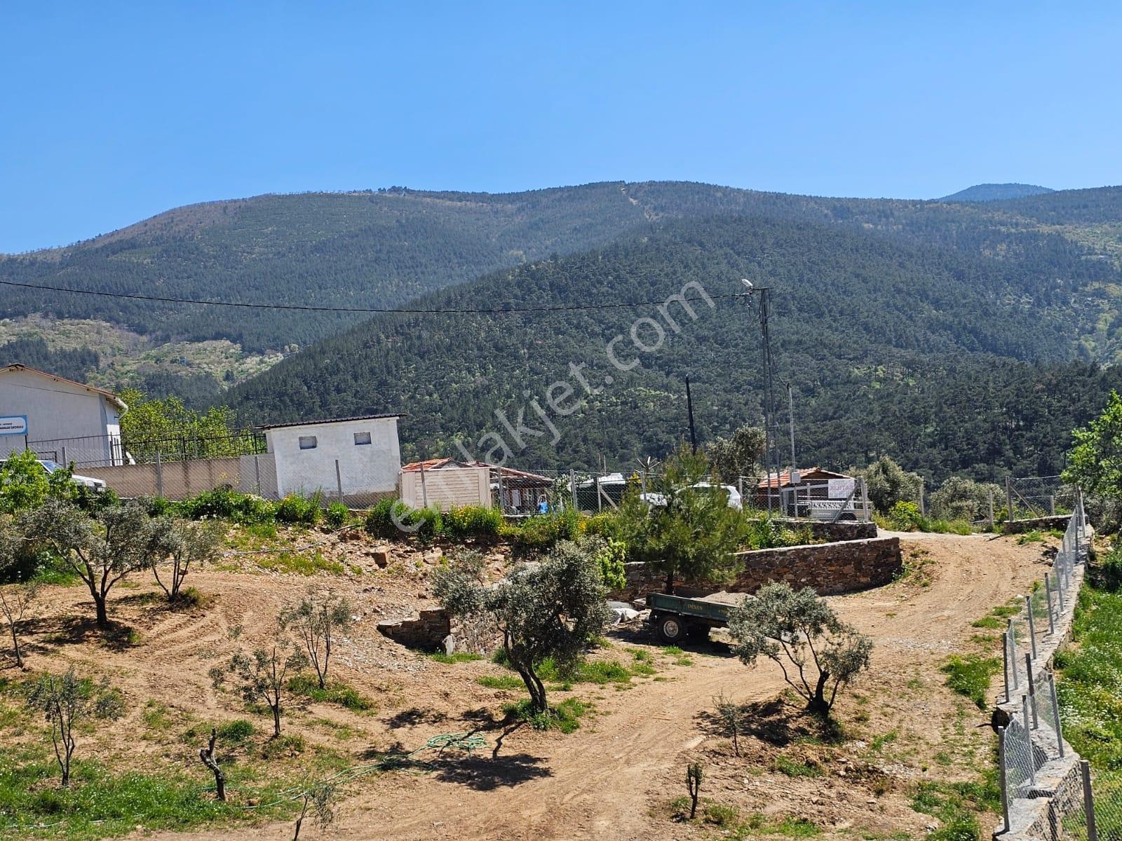 İzmir Bayındır Osmanlar Da Satılık Bahçe Mahalle İçinde - Görsel 8