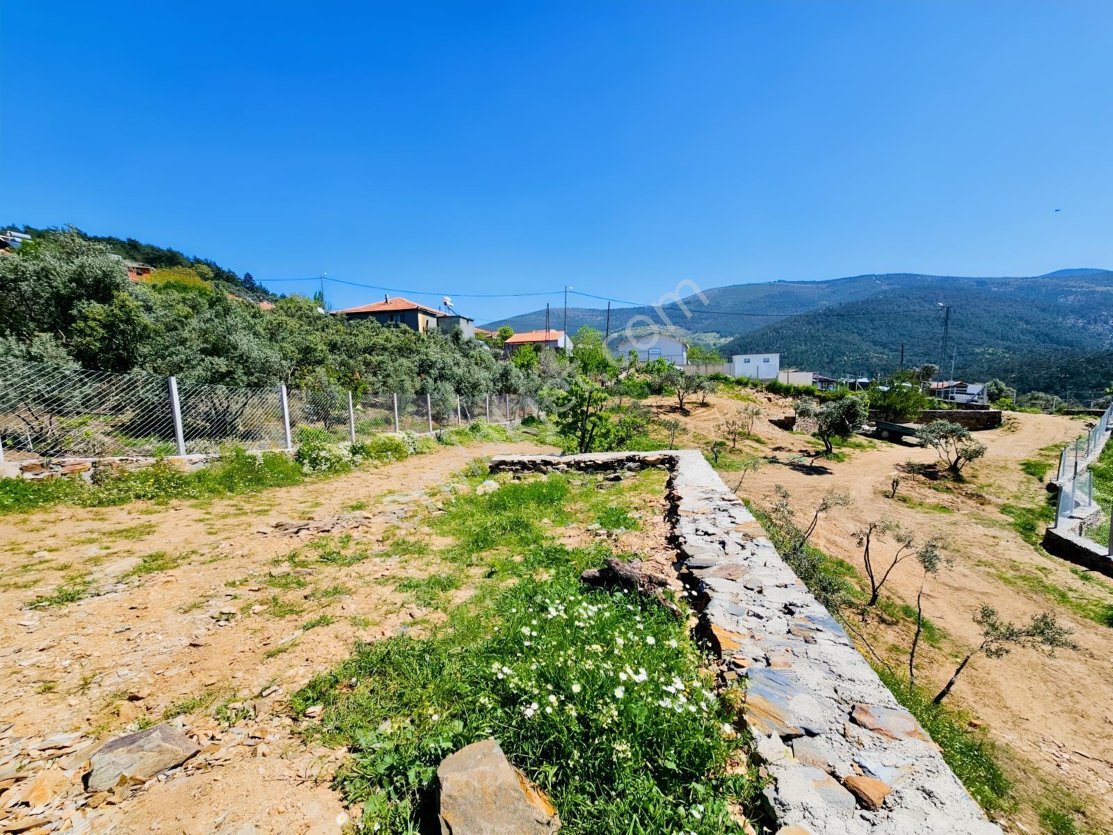 İzmir Bayındır Osmanlar Da Satılık Bahçe Mahalle İçinde - Görsel 10
