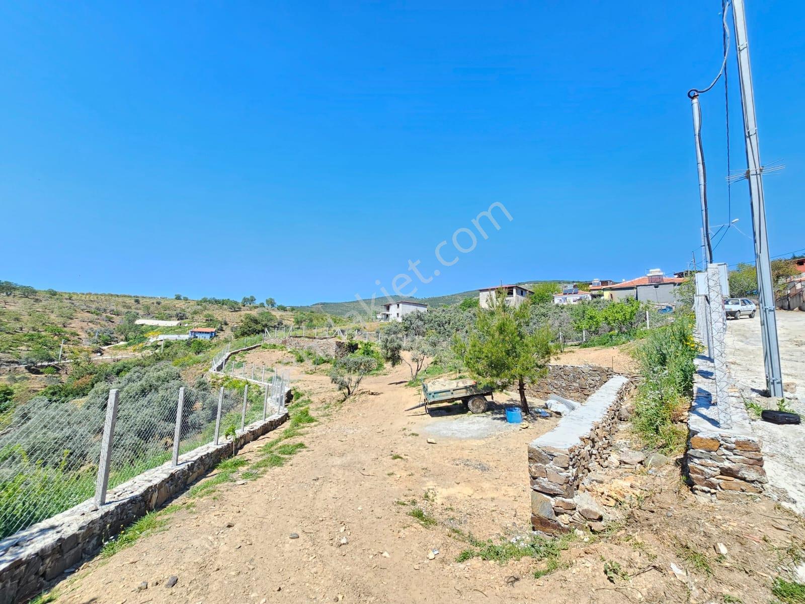 İzmir Bayındır Osmanlar Da Satılık Bahçe Mahalle İçinde - Görsel 22