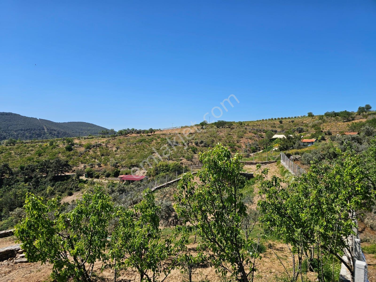 İzmir Bayındır Osmanlar Da Satılık Bahçe Mahalle İçinde - Görsel 6