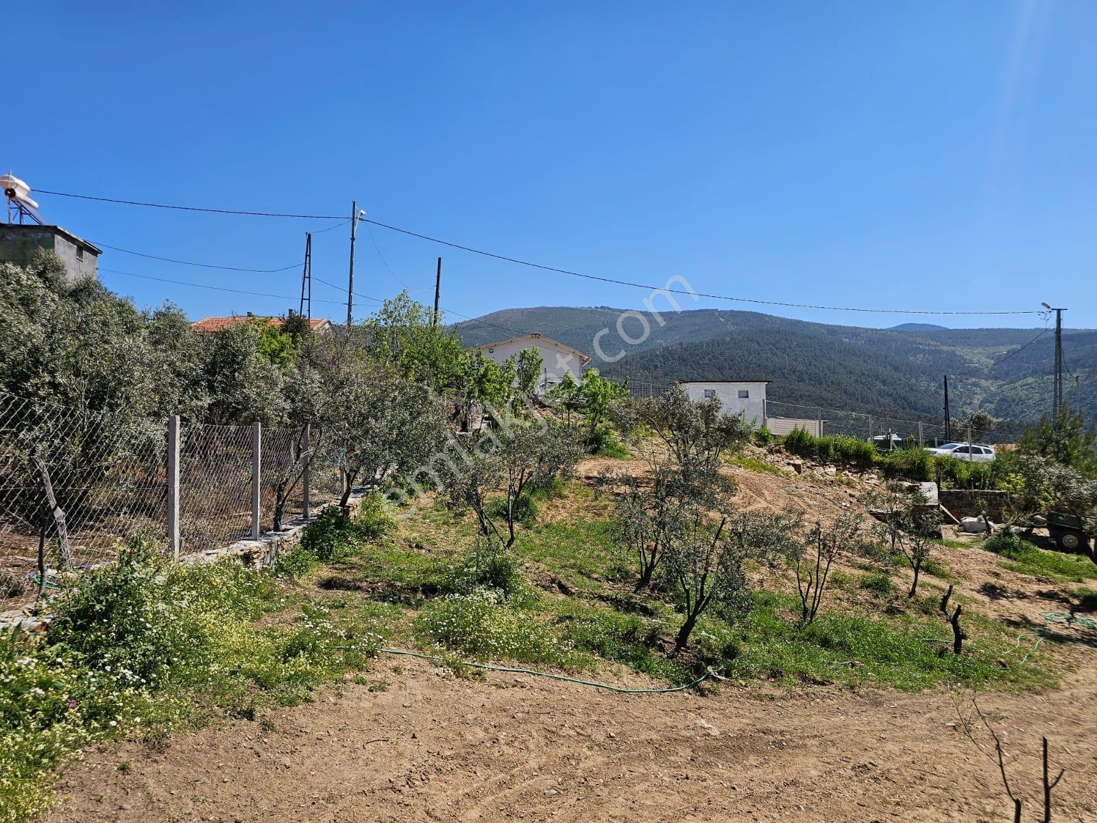 İzmir Bayındır Osmanlar Da Satılık Bahçe Mahalle İçinde - Görsel 12