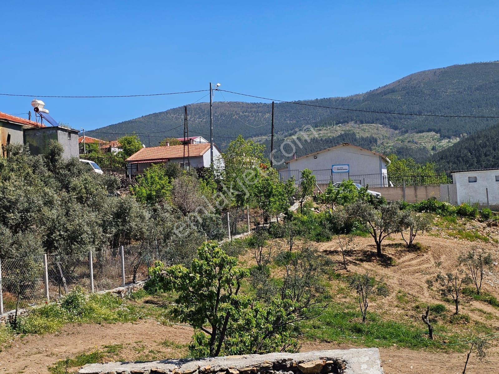 İzmir Bayındır Osmanlar Da Satılık Bahçe Mahalle İçinde - Görsel 4