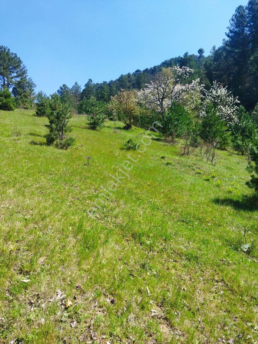 Orhaneli Göynükbelen'de Satılık Tarla 5.219 M2 - Görsel 23