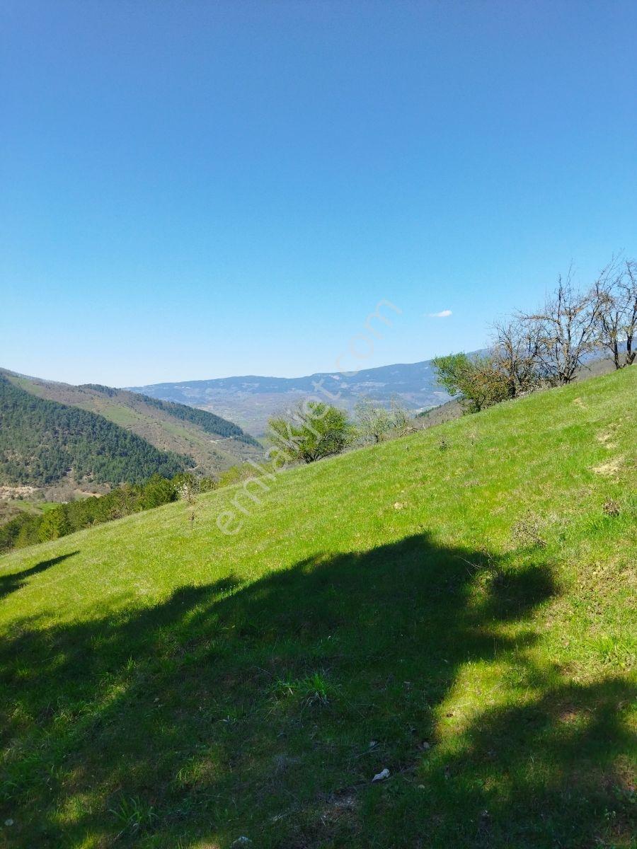 Orhaneli Göynükbelen'de Satılık Tarla 5.219 M2 - Görsel 11