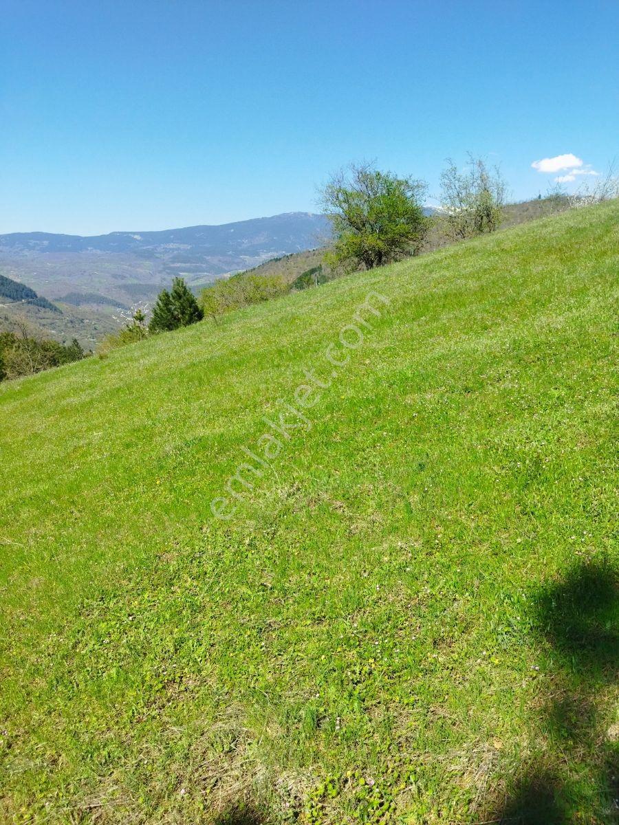 Orhaneli Göynükbelen'de Satılık Tarla 5.219 M2 - Görsel 26
