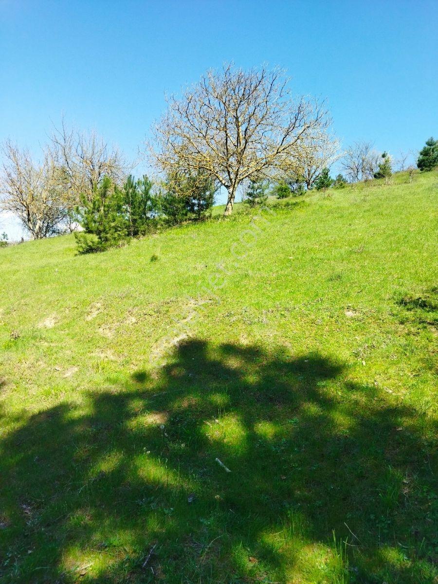 Orhaneli Göynükbelen'de Satılık Tarla 5.219 M2 - Görsel 13