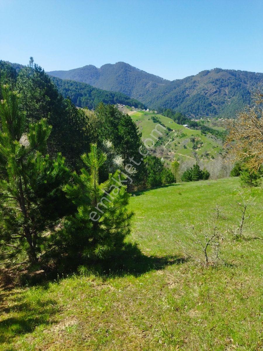 Orhaneli Göynükbelen'de Satılık Tarla 5.219 M2 - Görsel 15