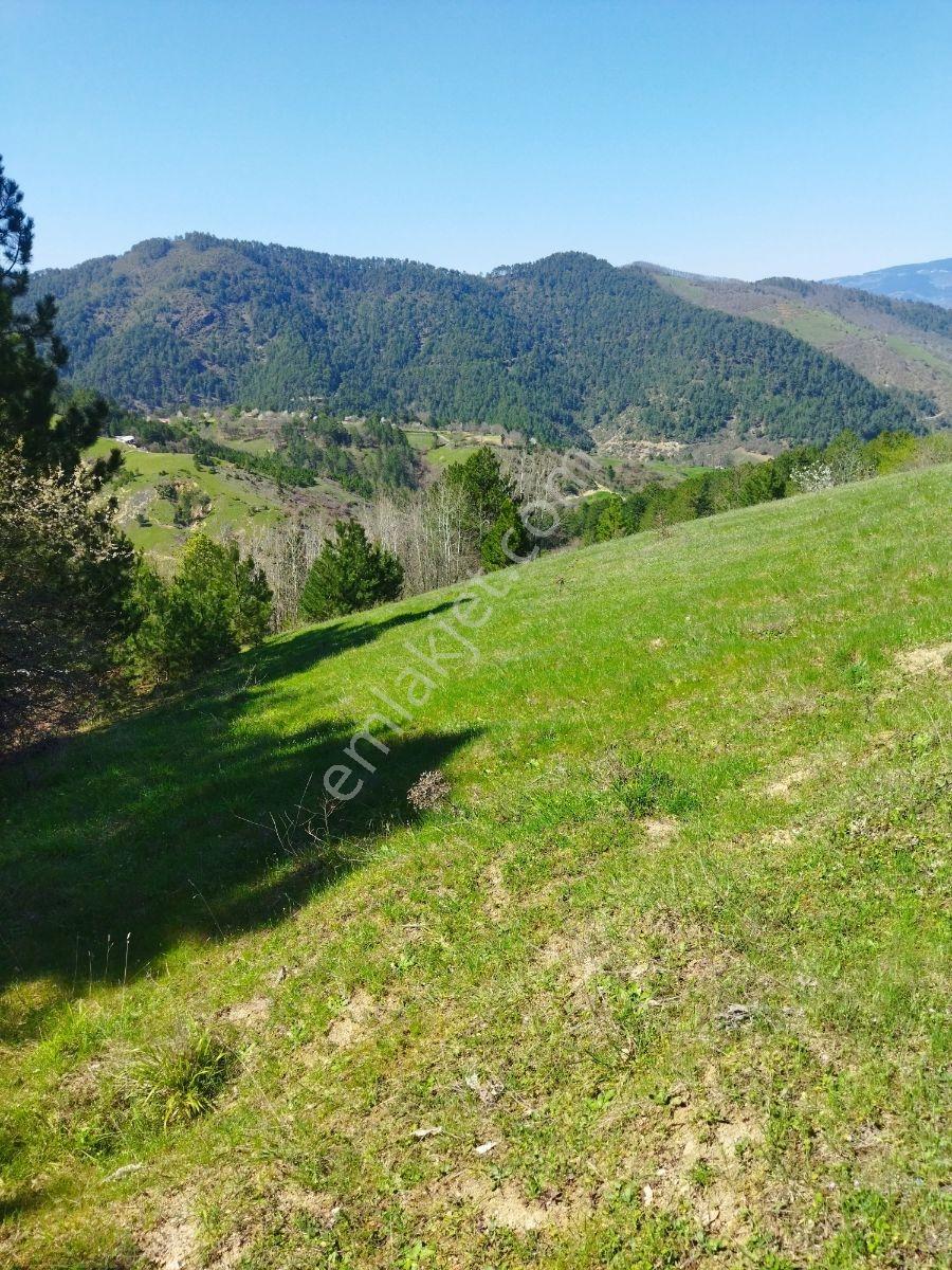 Orhaneli Göynükbelen'de Satılık Tarla 5.219 M2 - Görsel 8
