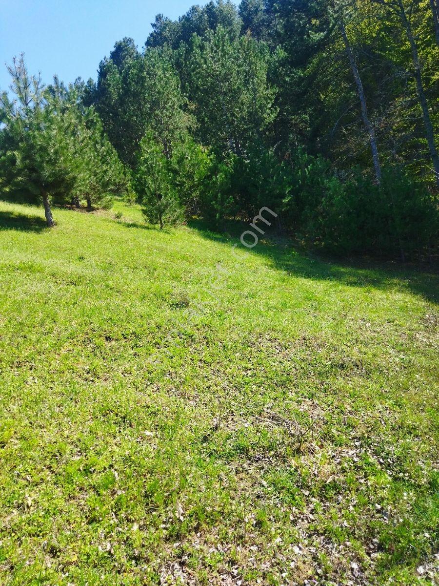 Orhaneli Göynükbelen'de Satılık Tarla 5.219 M2 - Görsel 28