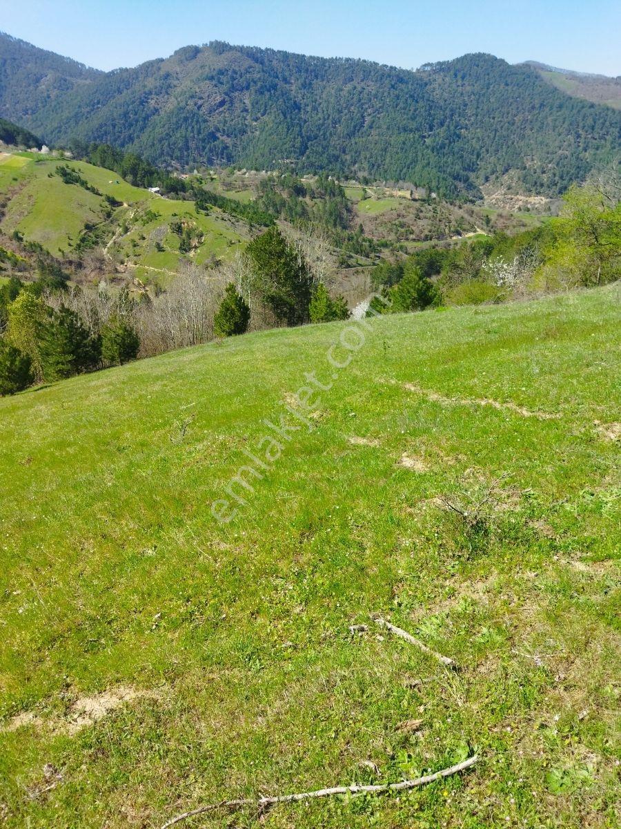 Orhaneli Göynükbelen'de Satılık Tarla 5.219 M2 - Görsel 3