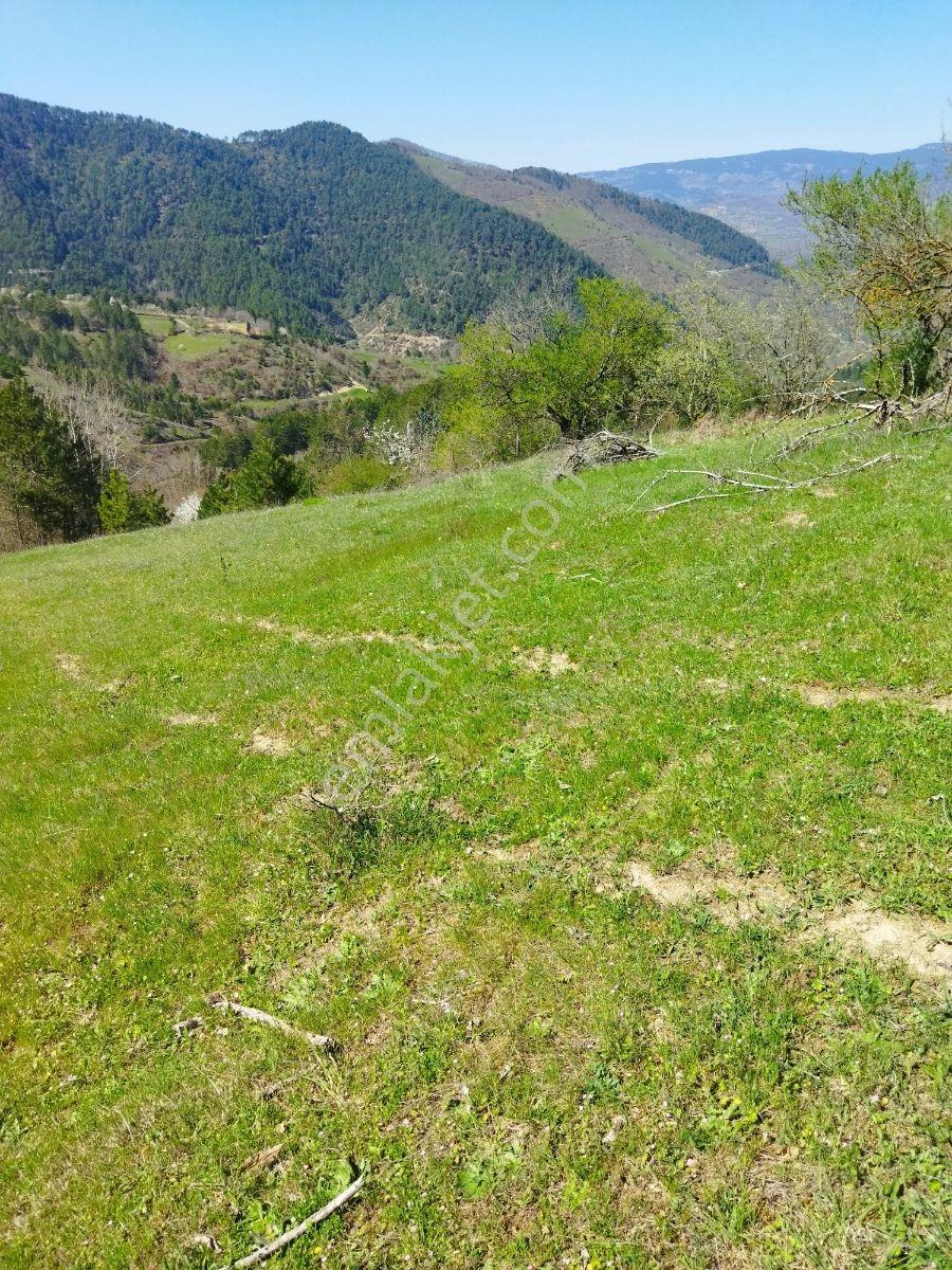Orhaneli Göynükbelen'de Satılık Tarla 5.219 M2 - Görsel 4