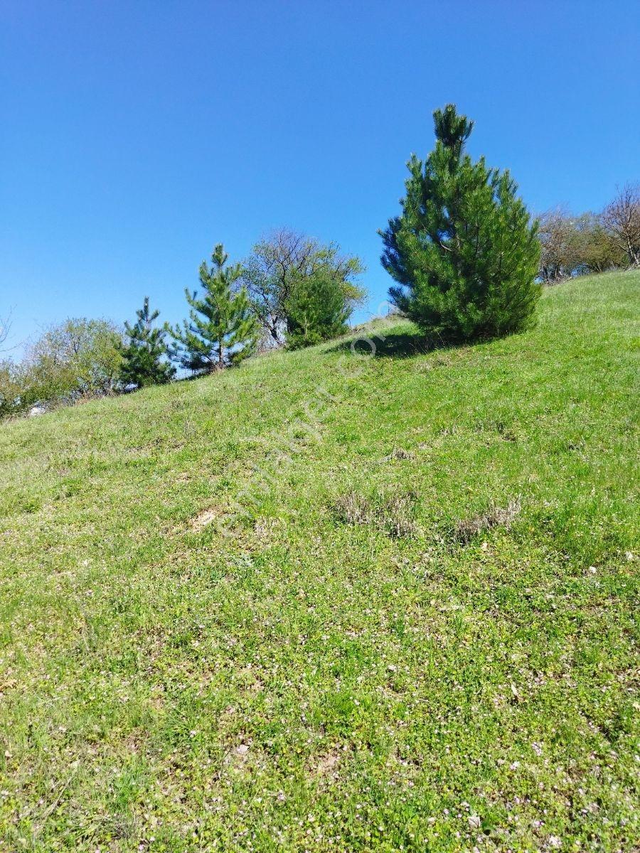 Orhaneli Göynükbelen'de Satılık Tarla 5.219 M2 - Görsel 29