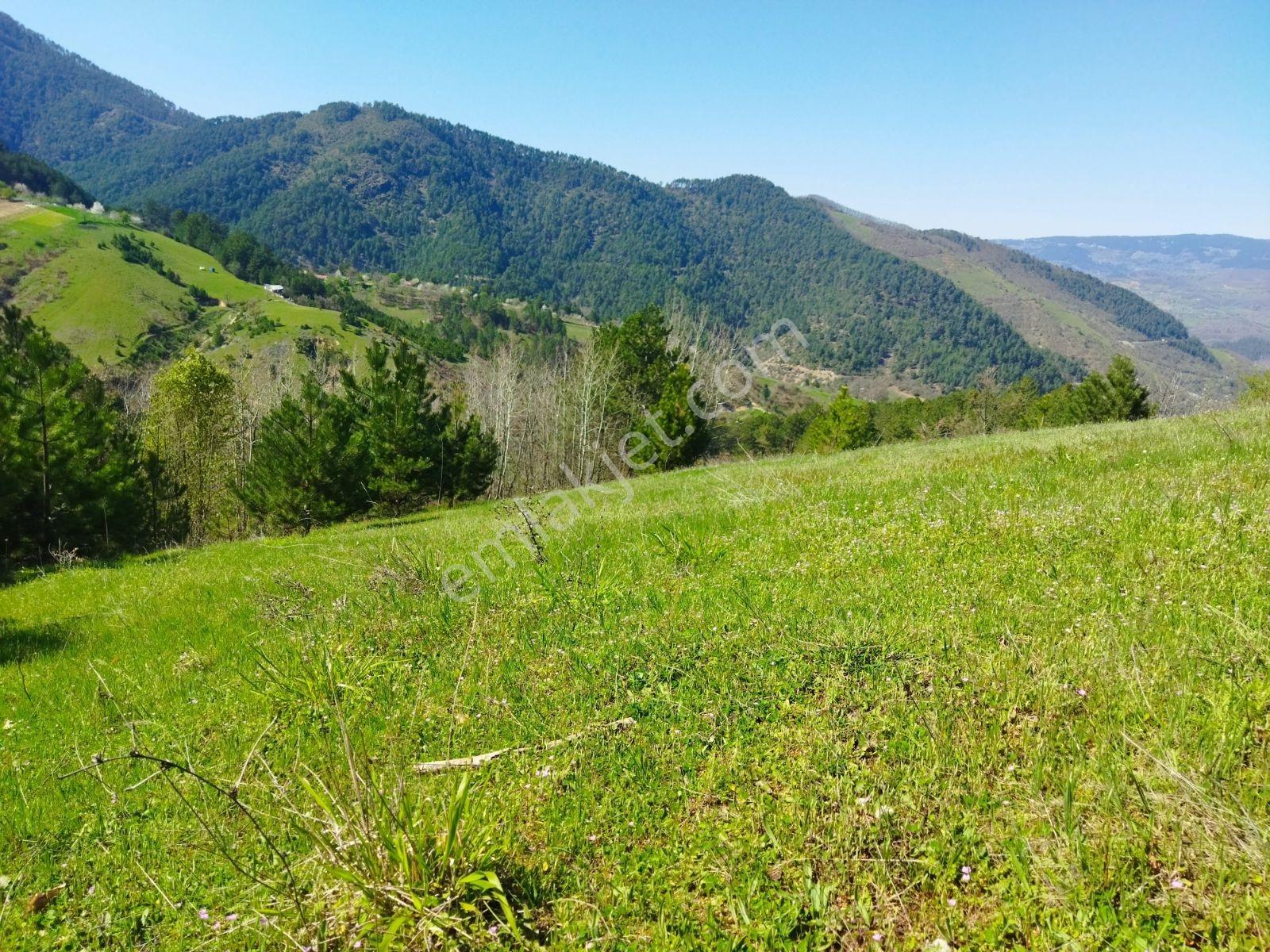 Orhaneli Göynükbelen'de Satılık Tarla 5.219 M2 - Görsel 34