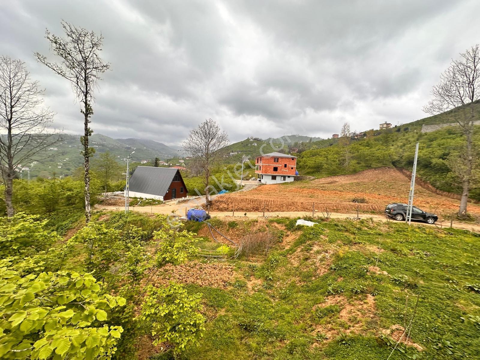 Trabzon Yomra'da Satılık Arsa (taş Duvarı Yapılmış) - Görsel 15