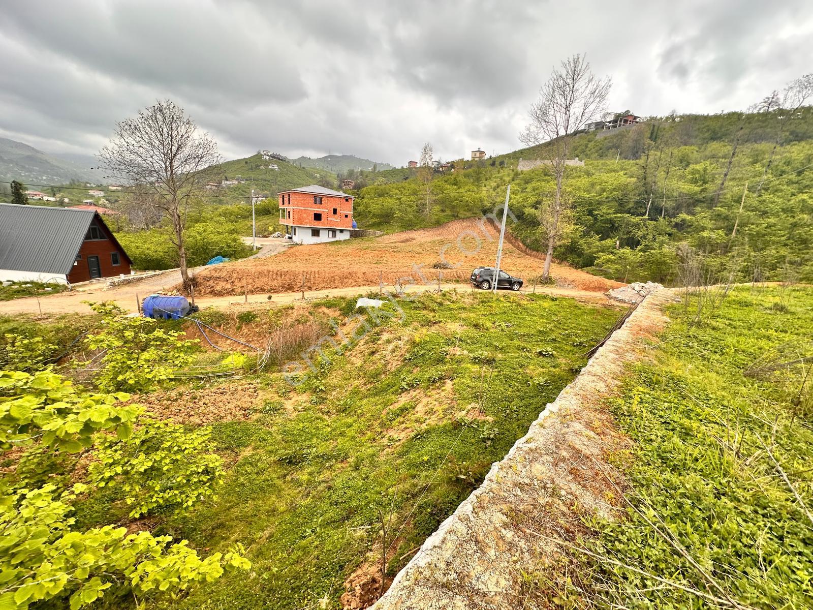 Trabzon Yomra'da Satılık Arsa (taş Duvarı Yapılmış) - Görsel 12