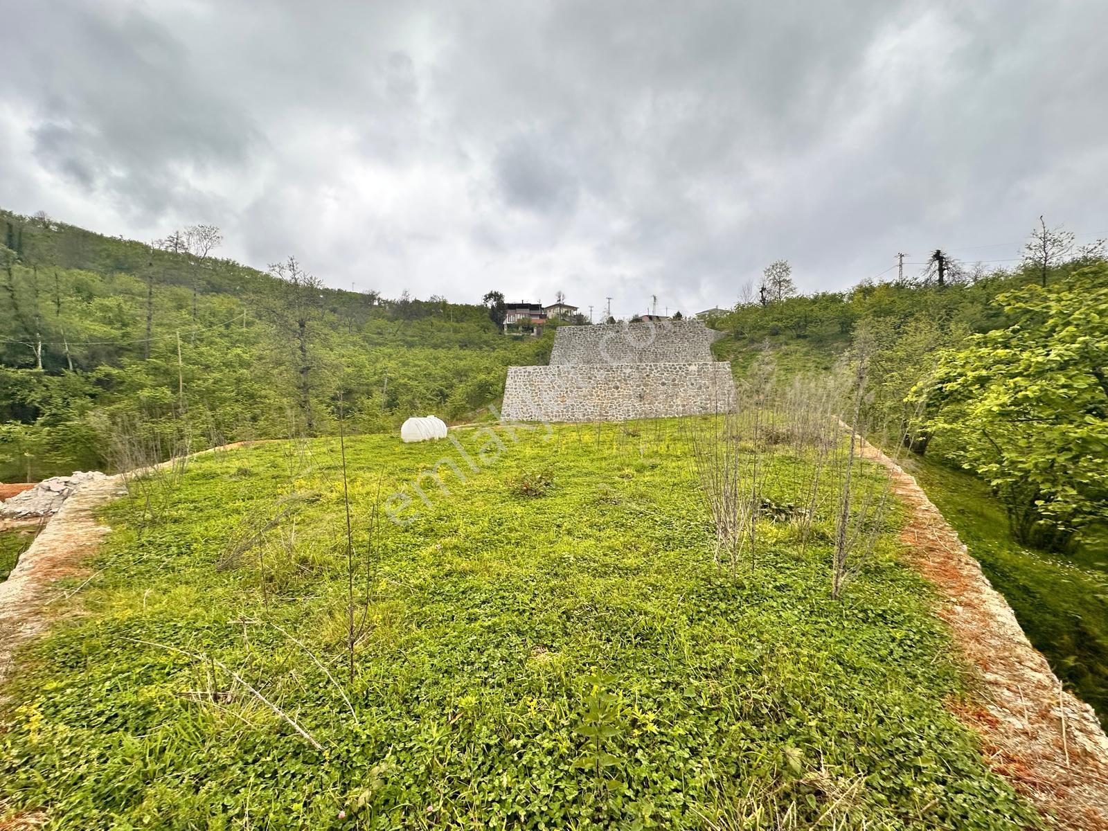 Trabzon Yomra'da Satılık Arsa (taş Duvarı Yapılmış) - Görsel 8