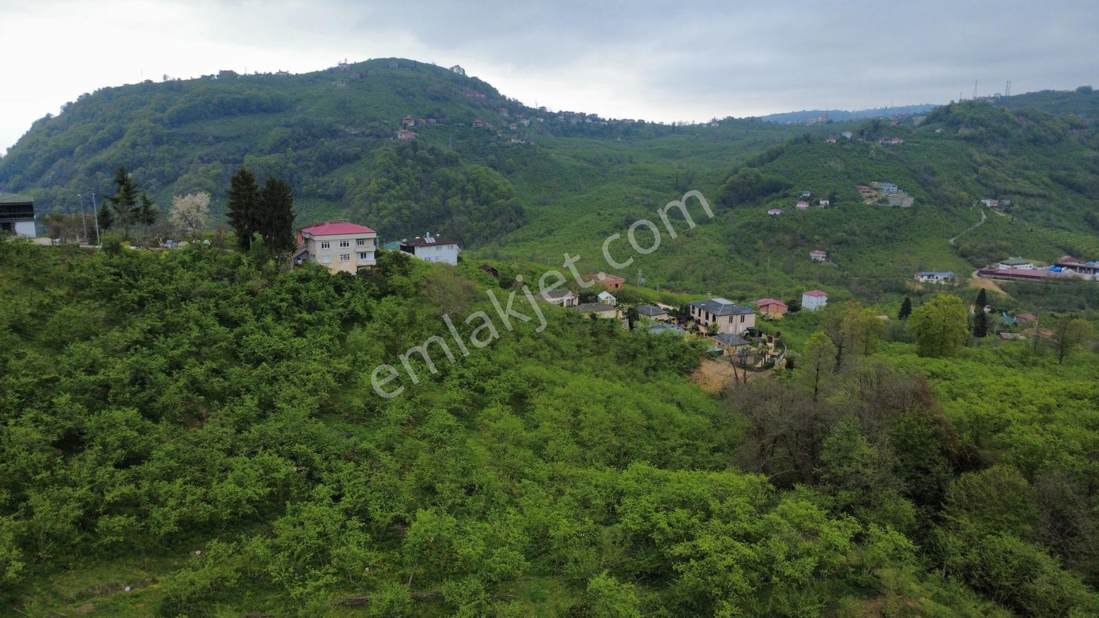 Trabzon Yomra'da Satılık Arsa (taş Duvarı Yapılmış) - Görsel 10