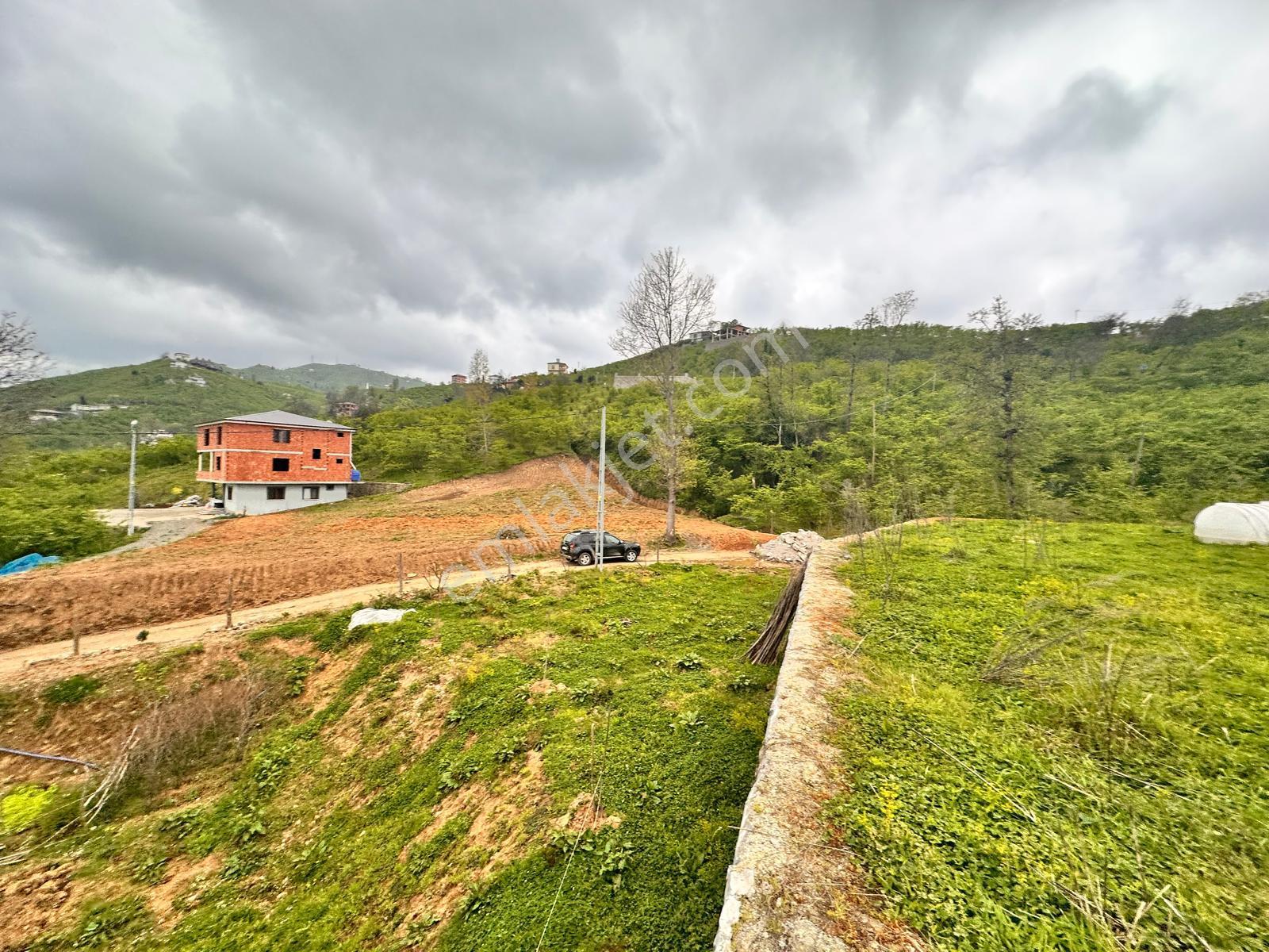 Trabzon Yomra'da Satılık Arsa (taş Duvarı Yapılmış) - Görsel 16