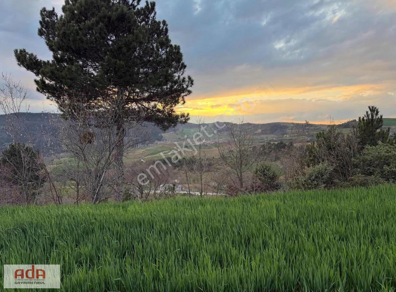 Sakarya Geyve Karacaörende Satılık 3.776 M² Verimli Arazi - Görsel 5