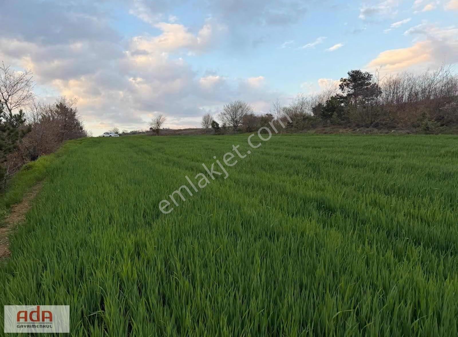 Sakarya Geyve Karacaörende Satılık 3.776 M² Verimli Arazi - Görsel 9