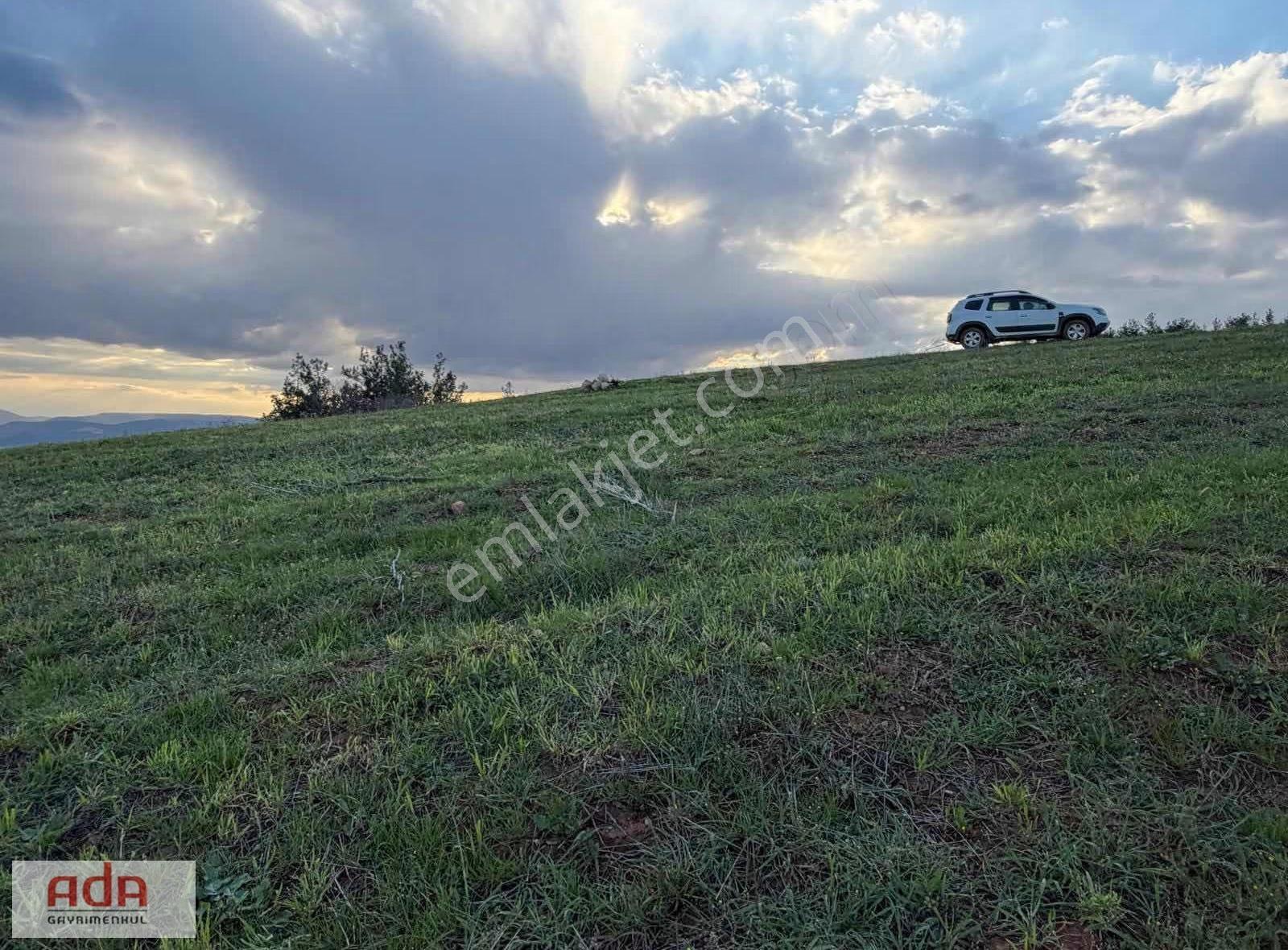 Sakarya Geyve Sekiharman Mahallesinde Satılık 5.000 M² Müstakil - Görsel 4