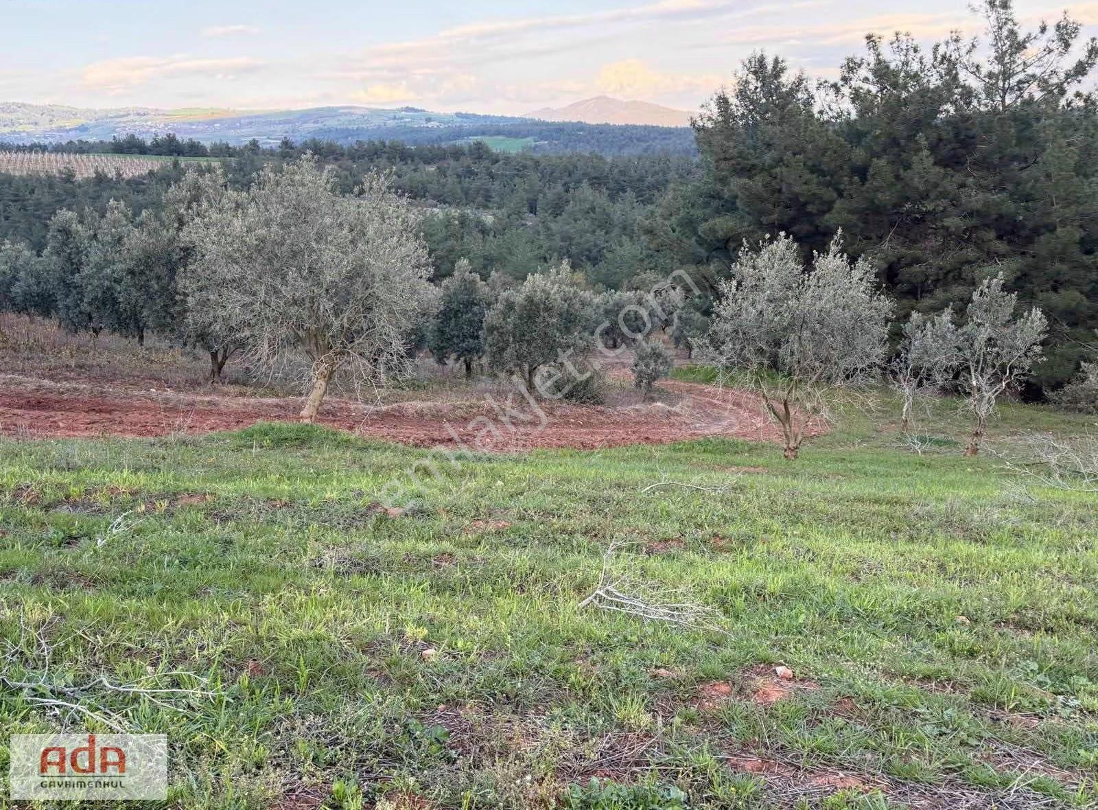 Sakarya Geyve Sekiharman Mahallesinde Satılık 5.000 M² Müstakil - Görsel 32