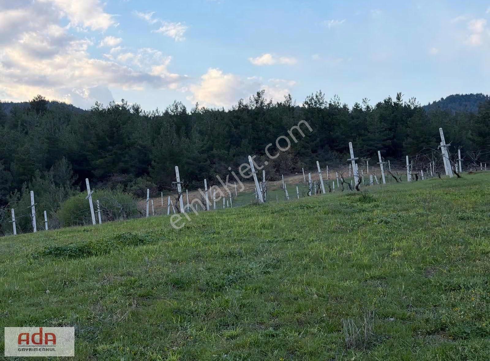 Sakarya Geyve Sekiharman Mahallesinde Satılık 5.000 M² Müstakil - Görsel 10