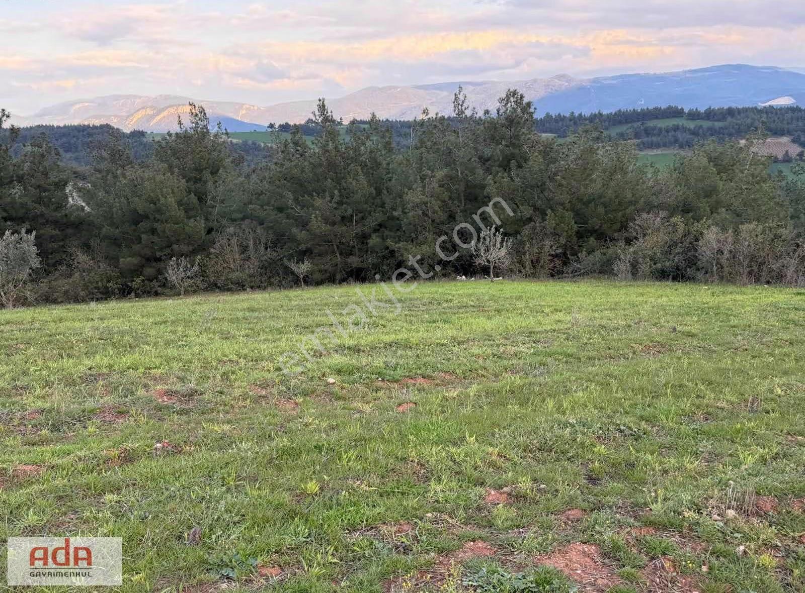 Sakarya Geyve Sekiharman Mahallesinde Satılık 5.000 M² Müstakil - Görsel 9