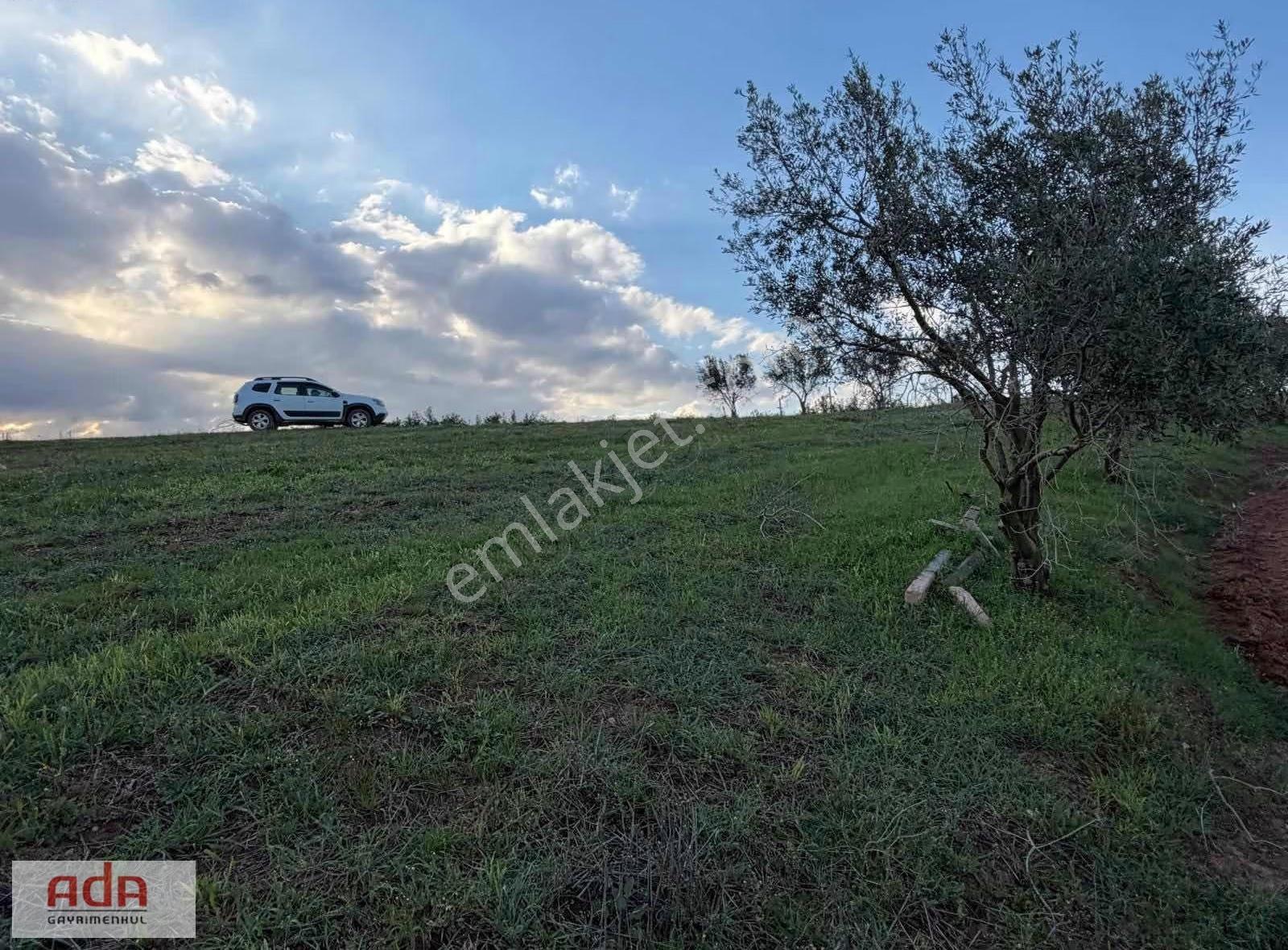 Sakarya Geyve Sekiharman Mahallesinde Satılık 5.000 M² Müstakil - Görsel 27