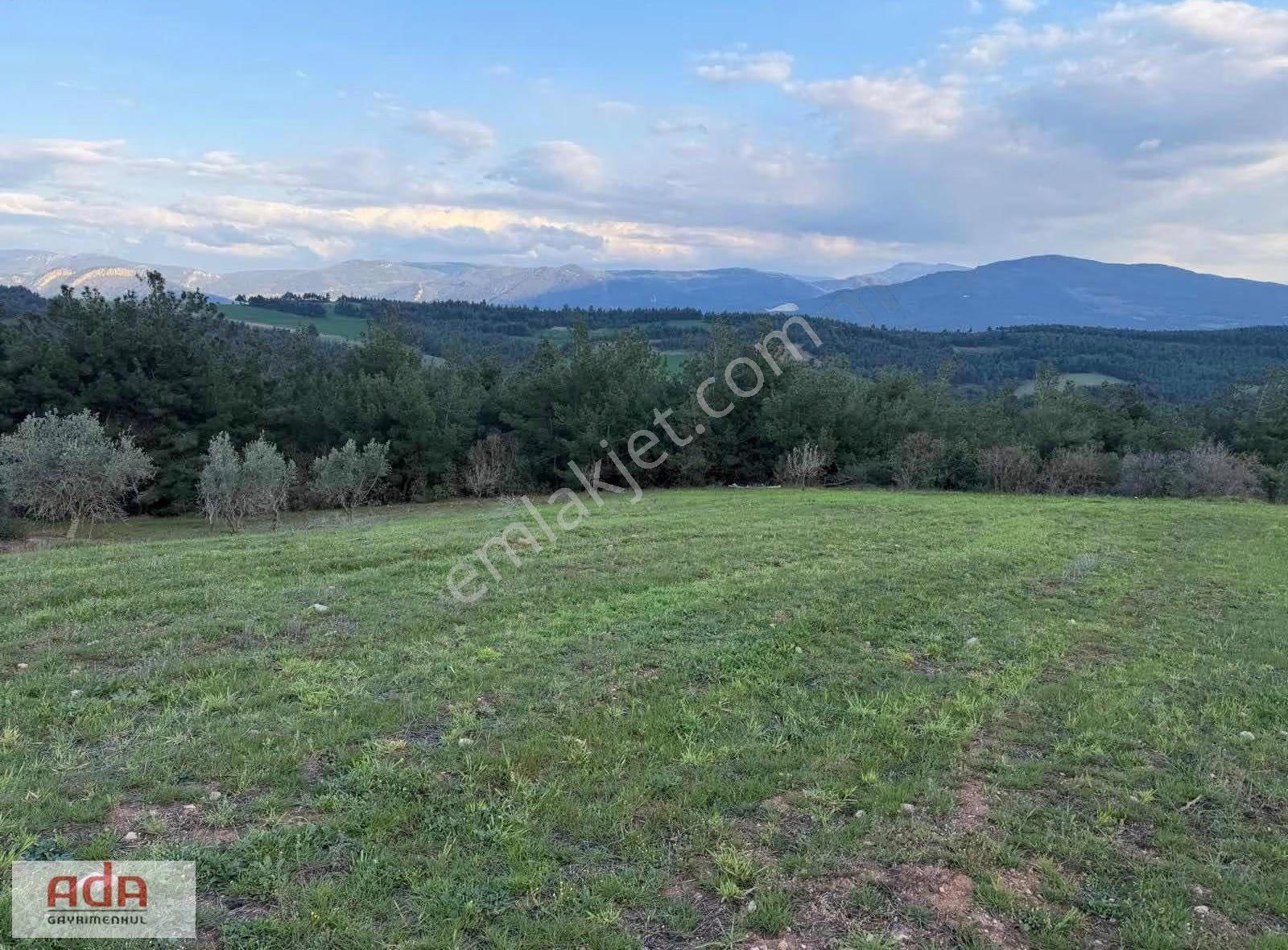 Sakarya Geyve Sekiharman Mahallesinde Satılık 5.000 M² Müstakil - Görsel 22