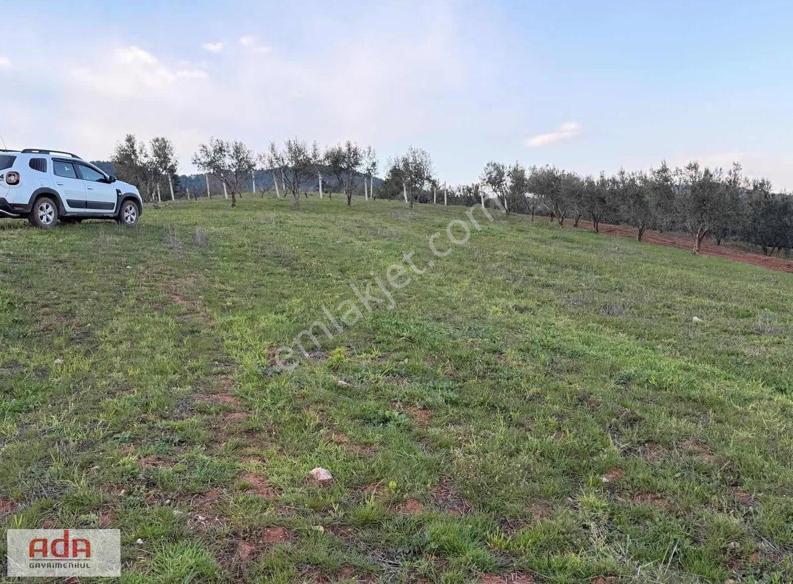 Sakarya Geyve Sekiharman Mahallesinde Satılık 5.000 M² Müstakil - Görsel 19