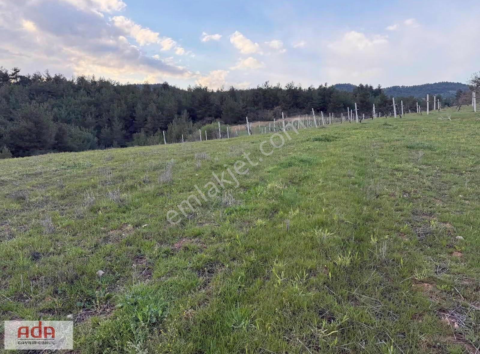 Sakarya Geyve Sekiharman Mahallesinde Satılık 5.000 M² Müstakil - Görsel 20