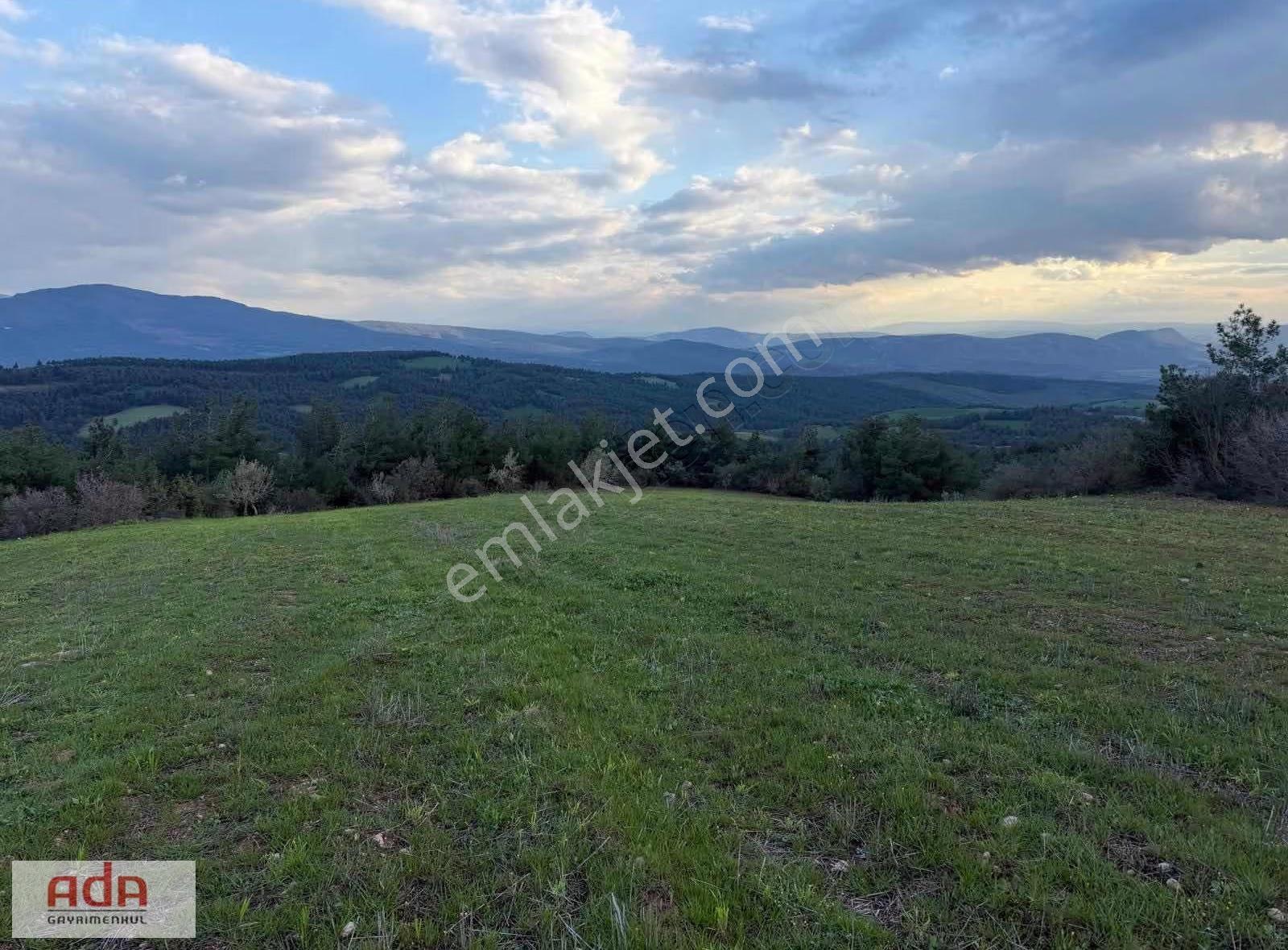 Sakarya Geyve Sekiharman Mahallesinde Satılık 5.000 M² Müstakil - Görsel 13